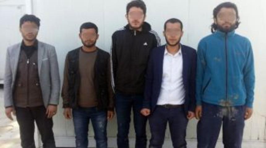 Hatay&rsquo;da El Nusra Ter&ouml;r &Ouml;rg&uuml;t&uuml; &Uuml;yesi Yakalandı