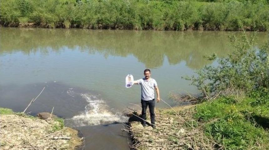 Chp İstanbul Teşkilatı Melen&rsquo;i İnceledi