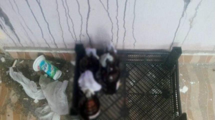 8 Molotof Bombası Ele Ge&ccedil;irildi