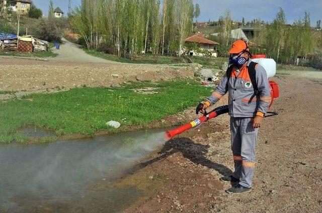 Mamak Belediyesi’nin Larva Mücadelesi Devam Ediyor 3