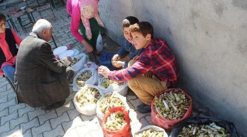 Yerli Pancarlar Görücüye Çıktı