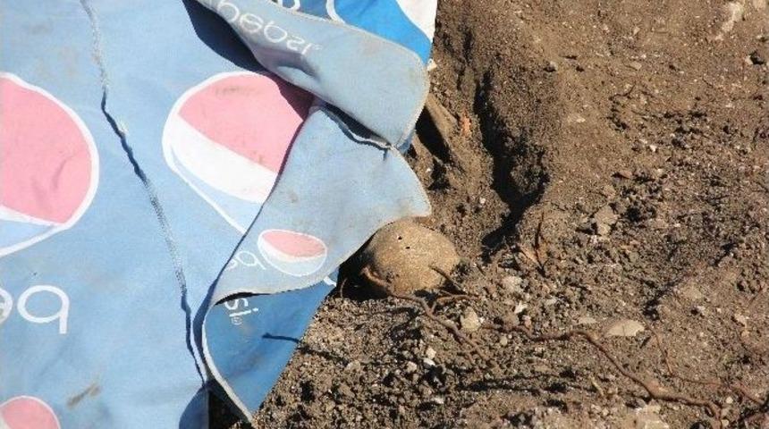 Amasra’daki Kazıda Bin Yıllık İnsan İskeletleri Bulundu