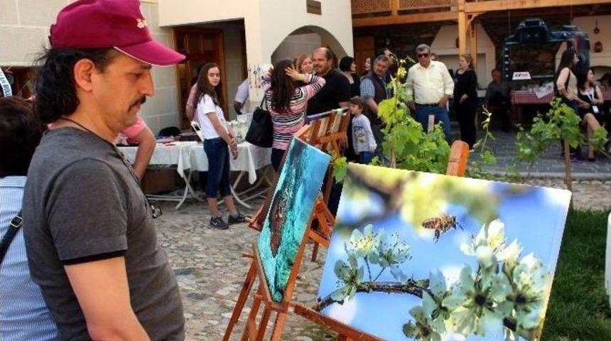 Salfod İlk Sergisini Kent M&uuml;zesi&rsquo;nde A&ccedil;tı