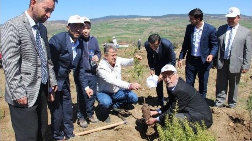 K&uuml;tahya&rsquo;da Kutlu Doğum Anısına Fidan Dikimi