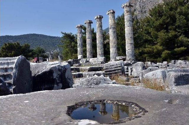 Eczacılar, Aydının Doğal Güzelliklerini Ölümsüzleştirdi