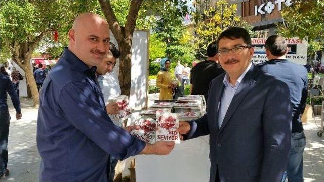 Kutlu Doğuma Özel 12 Bin Broşür