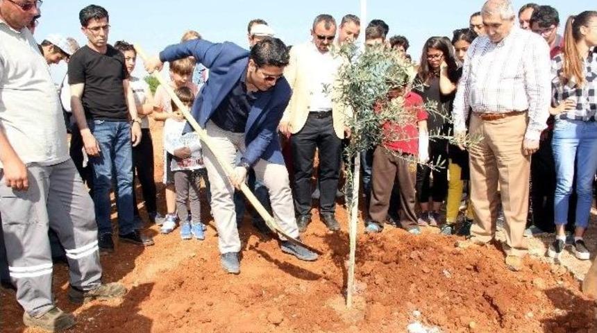 D&ouml;şemealtı&rsquo;na Şehitler Korusu