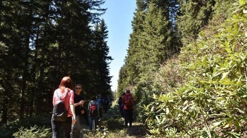 &Ccedil;ambaşı Yaylası&rsquo;nda Doğa Y&uuml;r&uuml;y&uuml;ş&uuml;