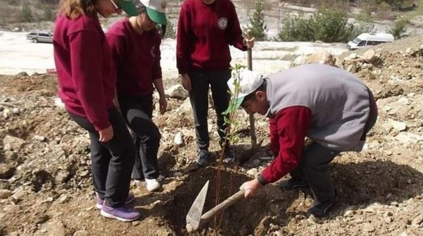 Feke&rsquo;de Fidanlar Toprakla Buluştu