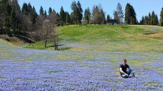 Kadıralak Yaylası Maviye Boyandı