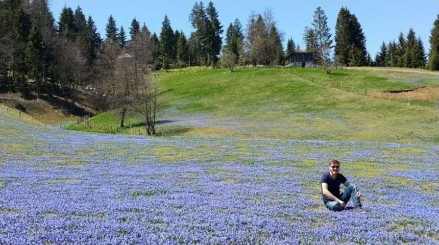 Kadıralak Yaylası Maviye Boyandı