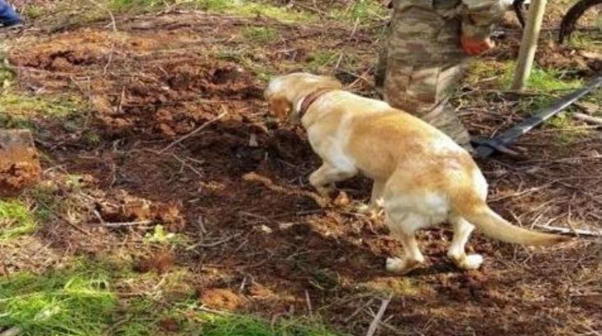 Siirt Ve Muş Kırsalında Operasyonlar Sürüyor