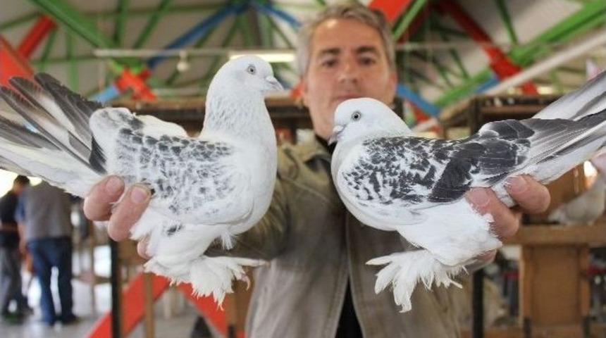 Bu Pazarda G&uuml;vencinler Otomobil Fiyatına Satılıyor