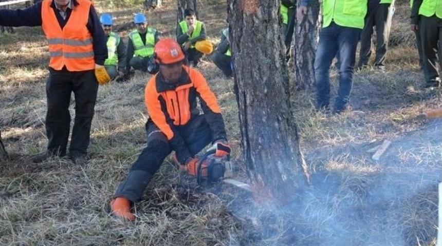 Halka Daha İyi Hizmet İ&ccedil;in Uygulama Eğitim