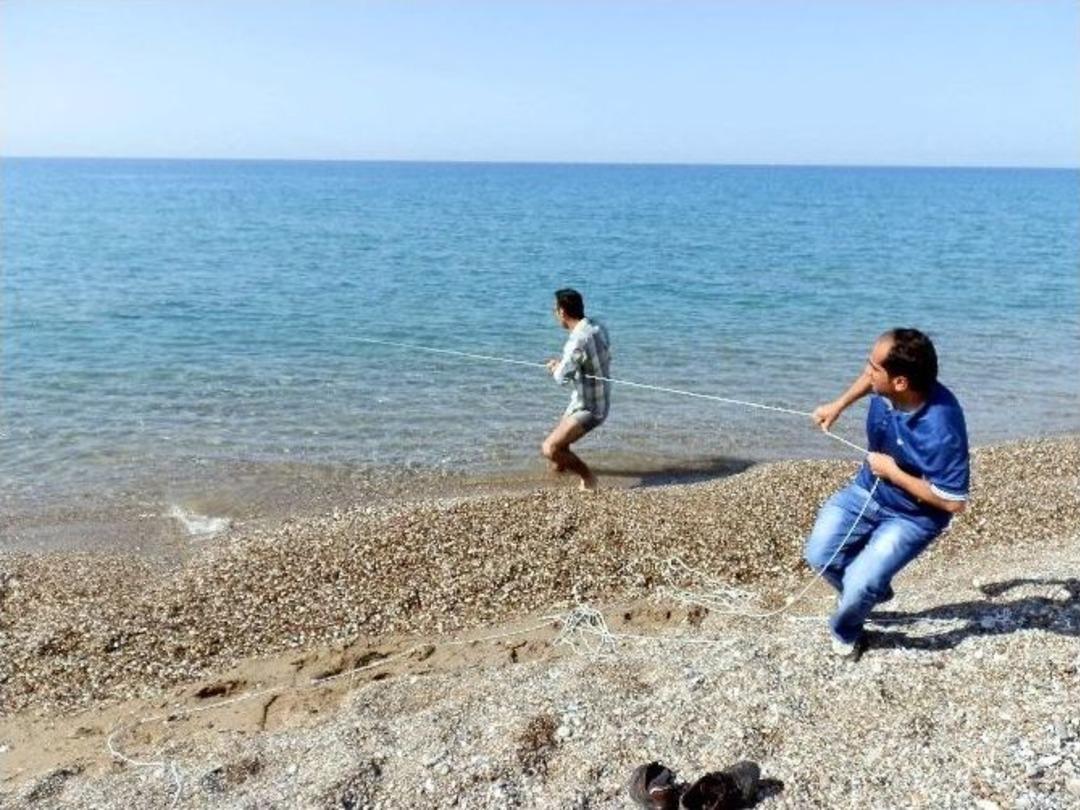 Ka&ccedil;ak Ağa Takılan Caretta Caretta&rsquo;nın Yaşam M&uuml;cadelesi