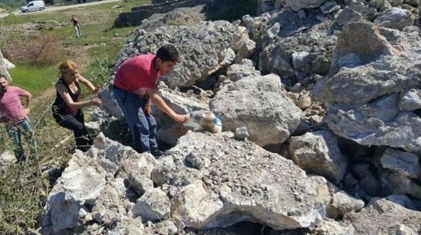 Başına Pet Şişe Ge&ccedil;en K&ouml;pek Kurtarıldı