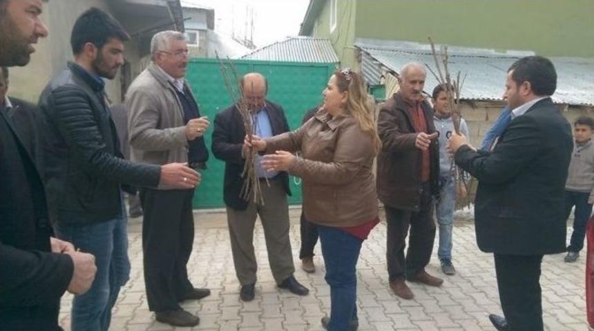 İpekyolu Belediyesi&rsquo;nden 750 Aileye &Uuml;z&uuml;m Fidesi