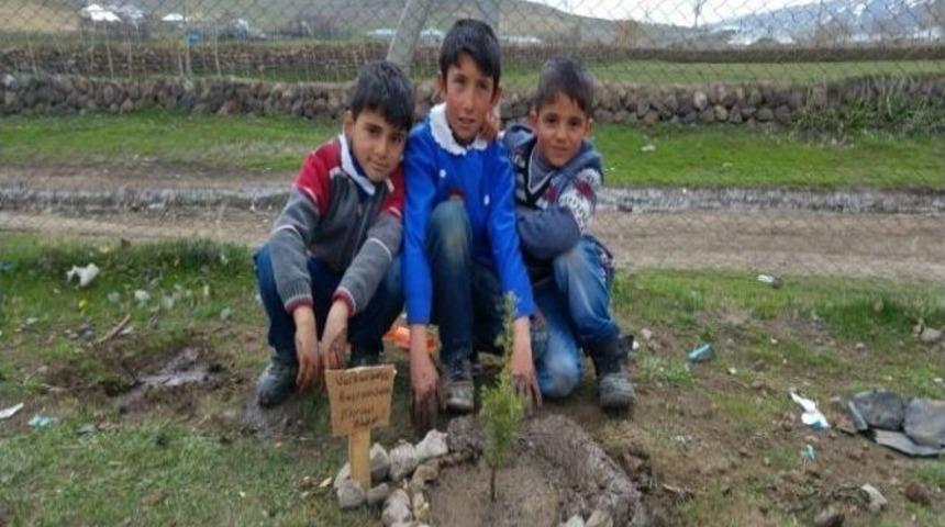 &Ouml;zalp Kaymakamlığı 7 Bin Fidan Dağıtıldı