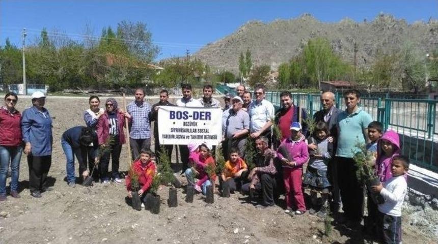 Bosder &Uuml;yeleri Memleketlerinde Hatıra Ormanı Oluşturdu