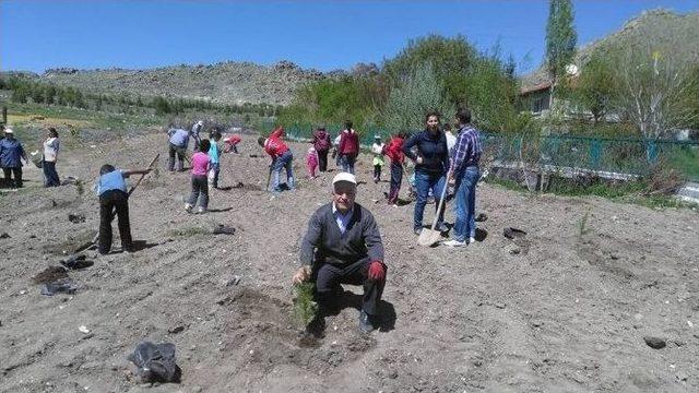 Bosder Üyeleri Memleketlerinde Hatıra Ormanı Oluşturdu