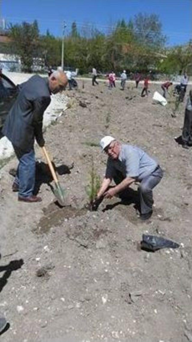 Bosder Üyeleri Memleketlerinde Hatıra Ormanı Oluşturdu