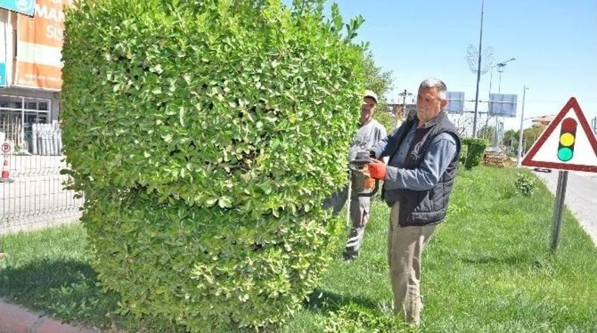 G&ouml;lbaşı İl&ccedil;esinde Peyzaj &Ccedil;alışmaları Hızlandırıldı