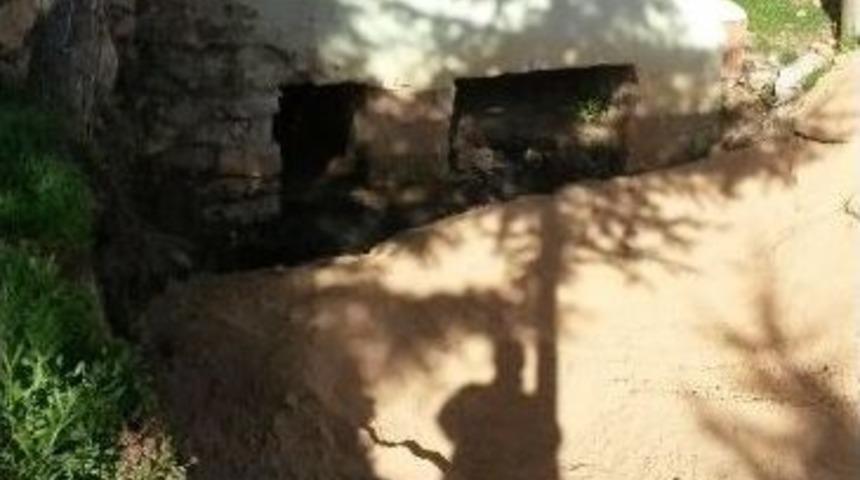 Köylülerin Tuvalet İsyanı