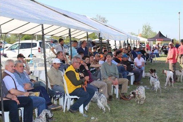 Fermalı Av Köpekleri Yarışması Şölen Havasında Geçti