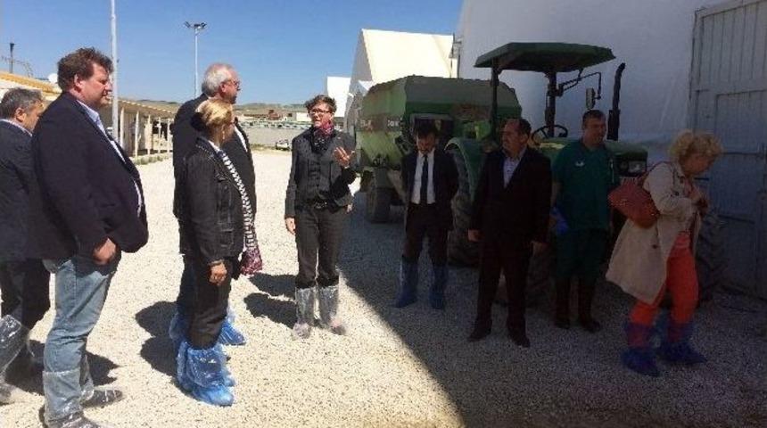 Almanya&rsquo;nın Ankara B&uuml;y&uuml;kel&ccedil;isi Erdmann: