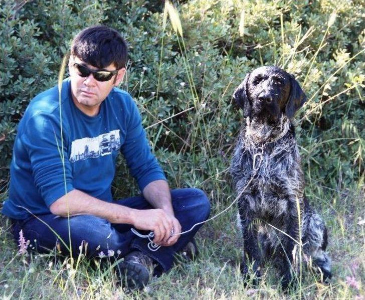 Av Köpekleri Birincilik İçin Yarıştı G2