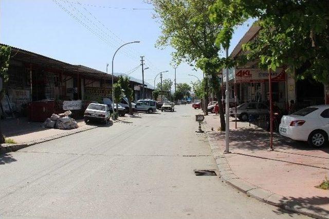 Her Gün Yaşanan Elektrik Kesintisinin Sebebi Kuş Çarpması