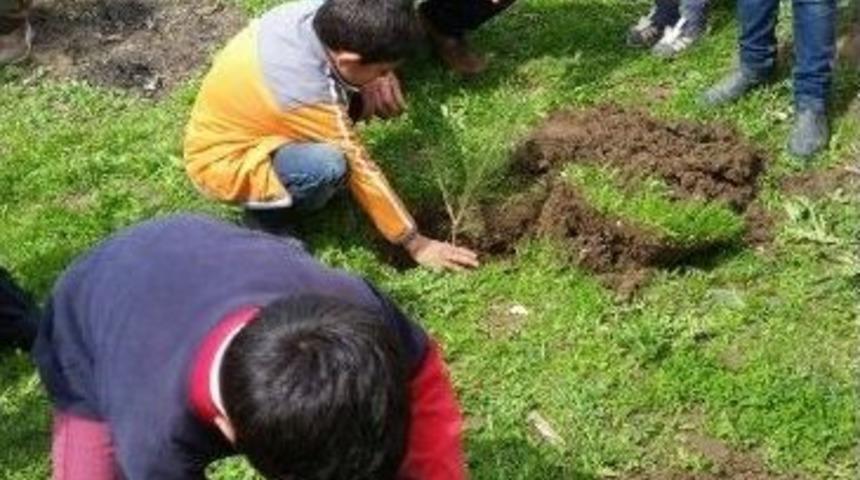 Minik &Ouml;ğrenciler Fidan Dikti