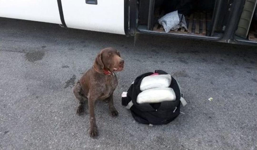 Vicdan Yine Affetmedi