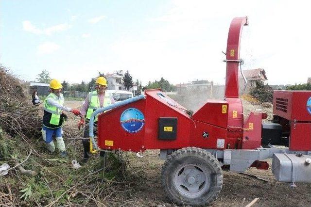 B&uuml;y&uuml;k&ccedil;ekmece Belediyesi Bitki Atıklarını G&uuml;breye D&ouml;n&uuml;şt&uuml;r&uuml;yor 1