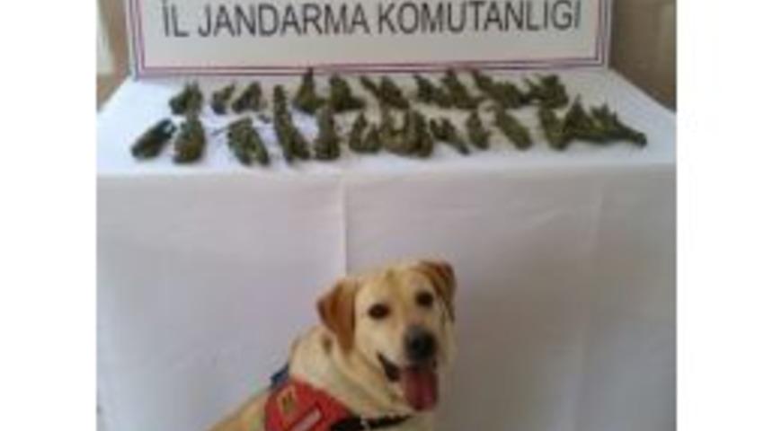 Yolcu Otob&uuml;s&uuml;nde Uyuşturucu Madde Ele Ge&ccedil;irildi