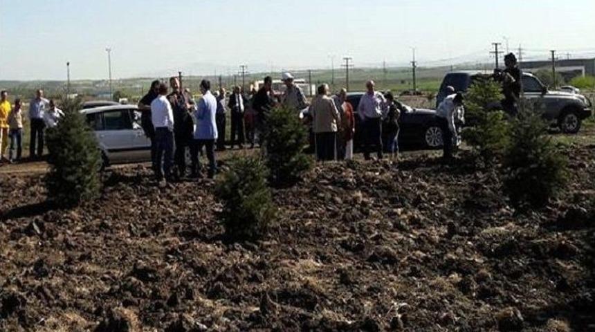 &rsquo;engelli Hatıra Ormanı&rsquo;na Fidan Dikildi