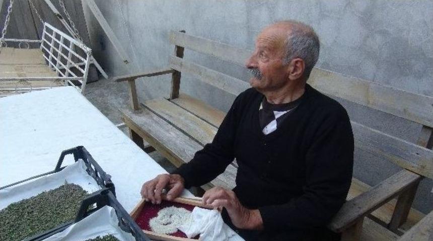 Hatay&rsquo;da İpek B&ouml;ceği Yetiştiricileri Hasada Başladı