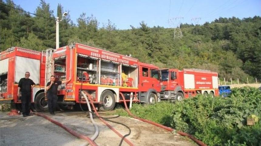 Ahırda Çıkan Yangın Tır’ı Ve Samanları Kül Etti