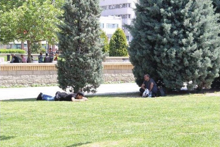 İzmir Son 66 Yılın En Sıcak Gününü Yaşıyor G5