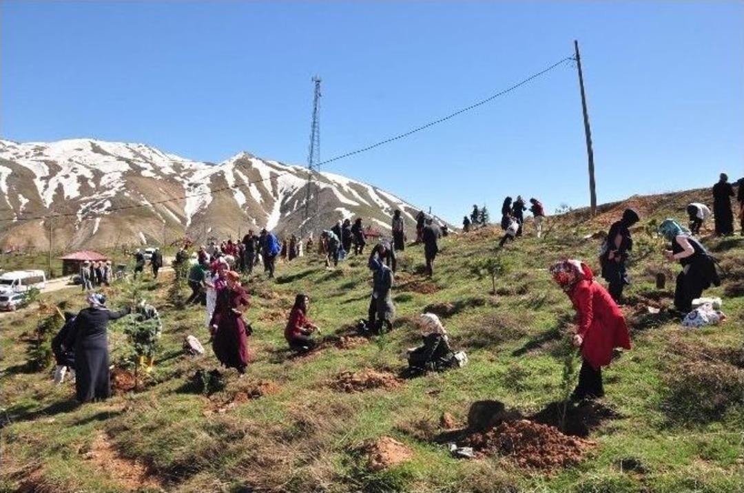 7 B&ouml;lgeden Gelen Kadınlar Bitlis&rsquo;te Fidan Dikti