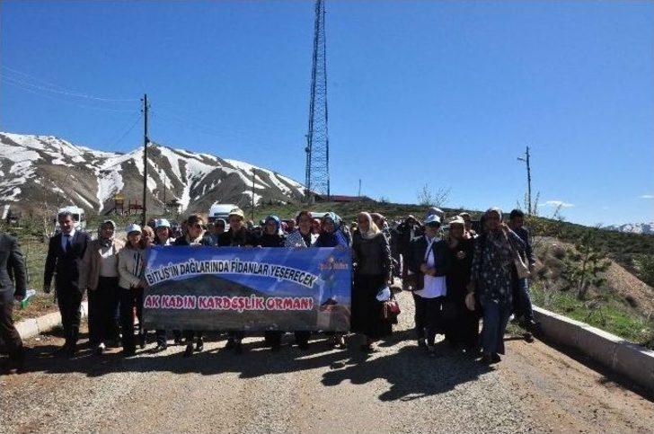 7 Bölgeden Gelen Kadınlar Bitlis’te Fidan Dikti G1