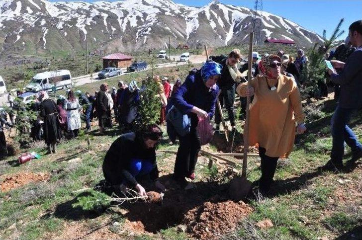 7 Bölgeden Gelen Kadınlar Bitlis’te Fidan Dikti G3