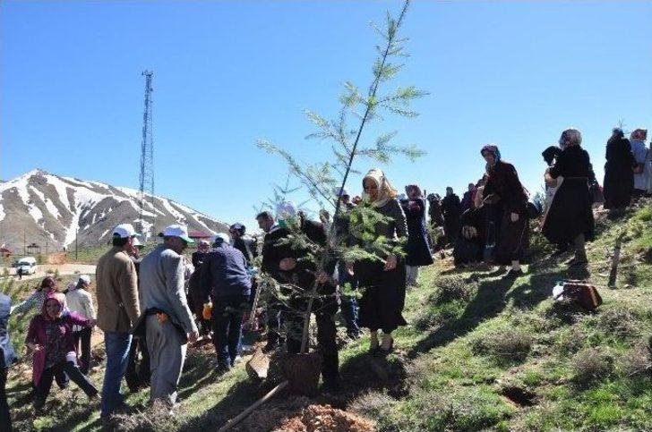 7 Bölgeden Gelen Kadınlar Bitlis’te Fidan Dikti G4