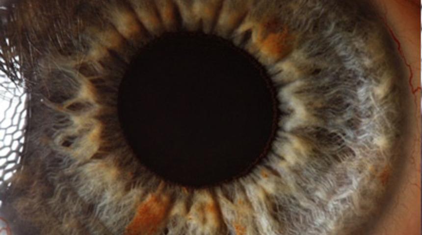 G&ouml;zlerinize inanamayacaksınız!