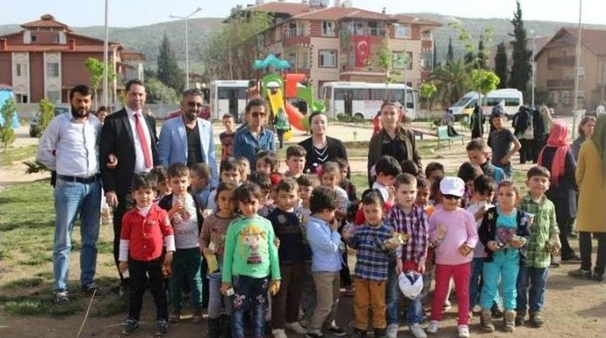 Anaokulu &Ouml;ğrencileri Fidan Dikti