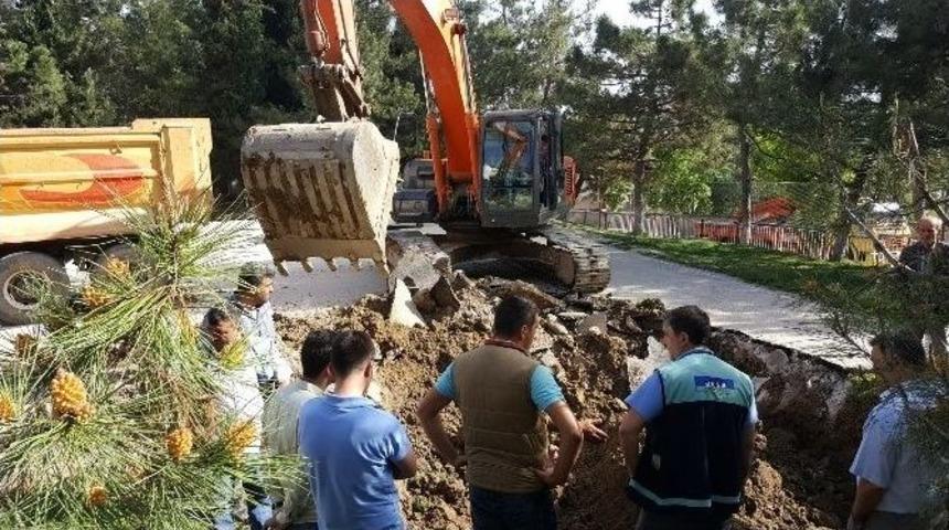 Bilecik&rsquo;te Facianın Eşiğinden D&ouml;n&uuml;ld&uuml;