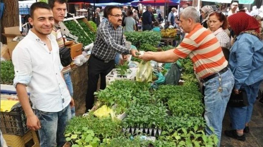 &Ouml;demiş&rsquo;te Sebze Fidanı Satışı Başladı