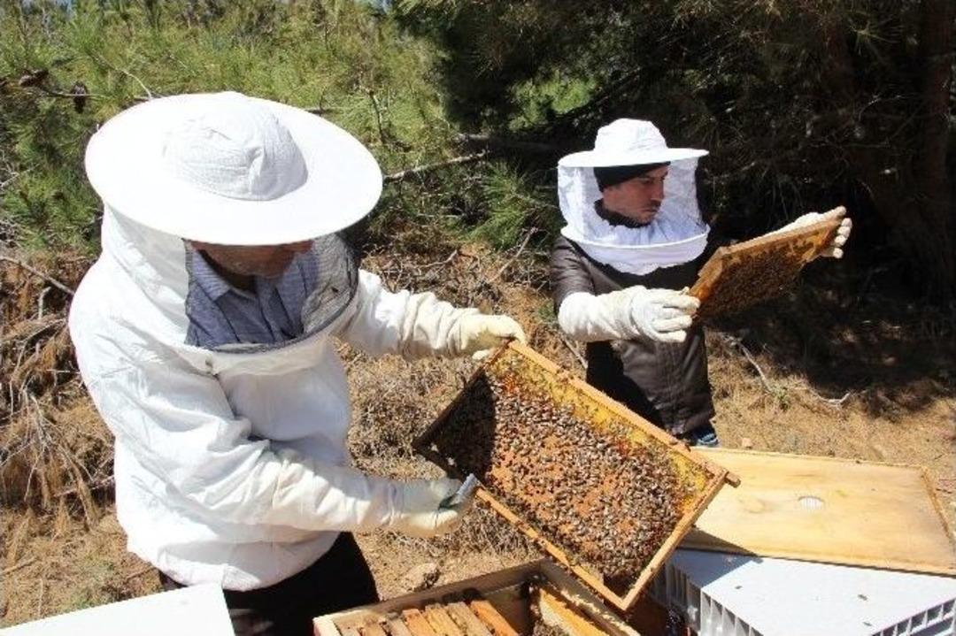 Hobi Olarak Başladı, Şampiyon Oldu