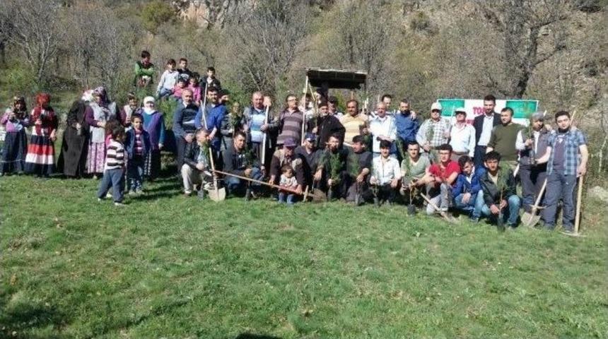 Tosya&rsquo;da Ağa&ccedil; Dikim Etkinliği D&uuml;zenledi