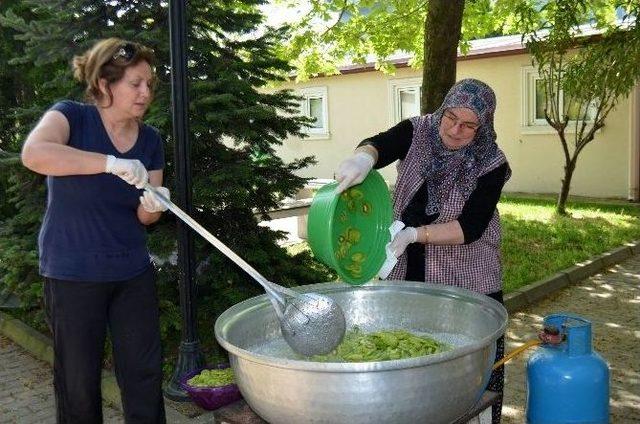 Altınovalı Kadınlar Türkiye’de İlk Kez Kividen Reçel Yaptı